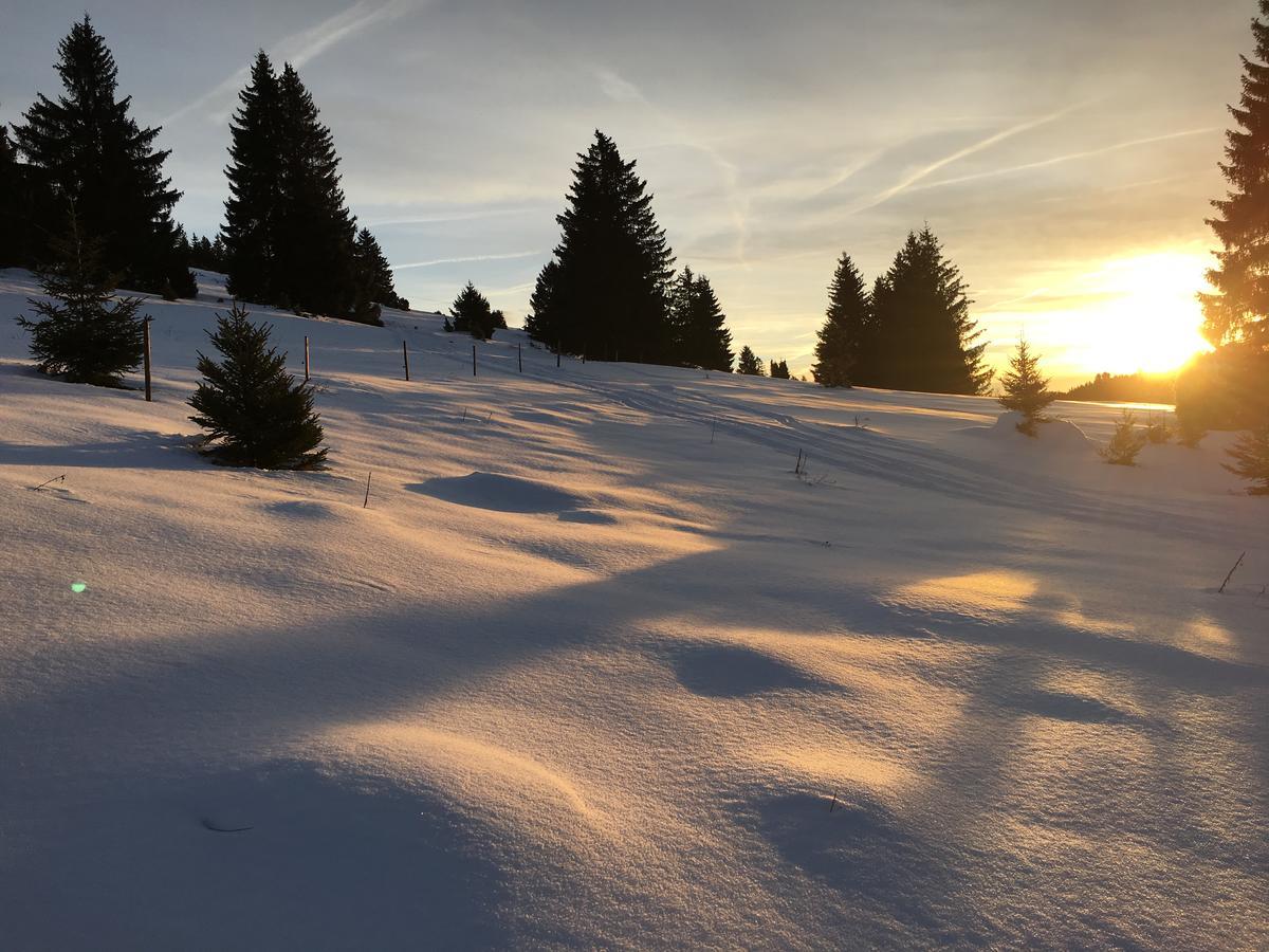 Schwarzwald-Hotel Kraeutle Feldberg  Luaran gambar